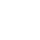 Лио филизация